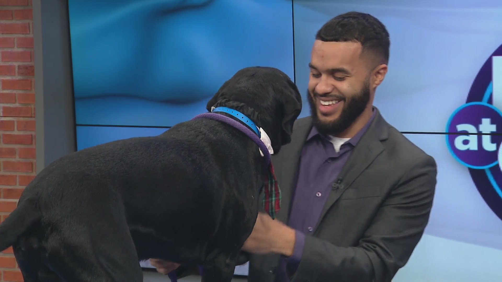 The Memphis shelter's new director announces an adoption special Saturday, December 16