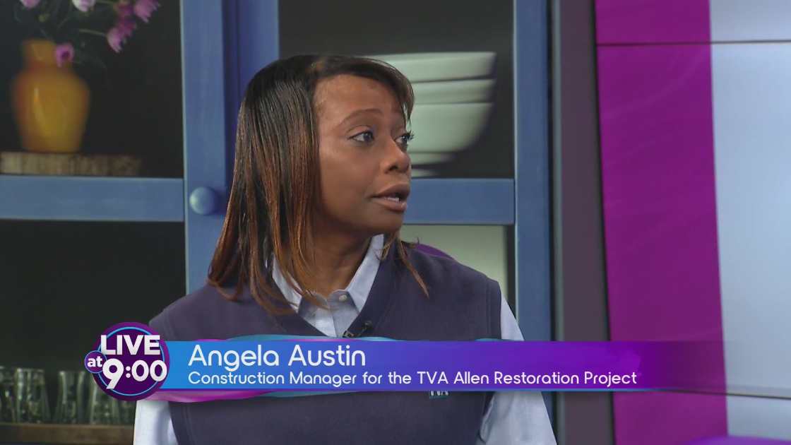 Black female leads nearly billion-dollar TVA project in her hometown of Memphis