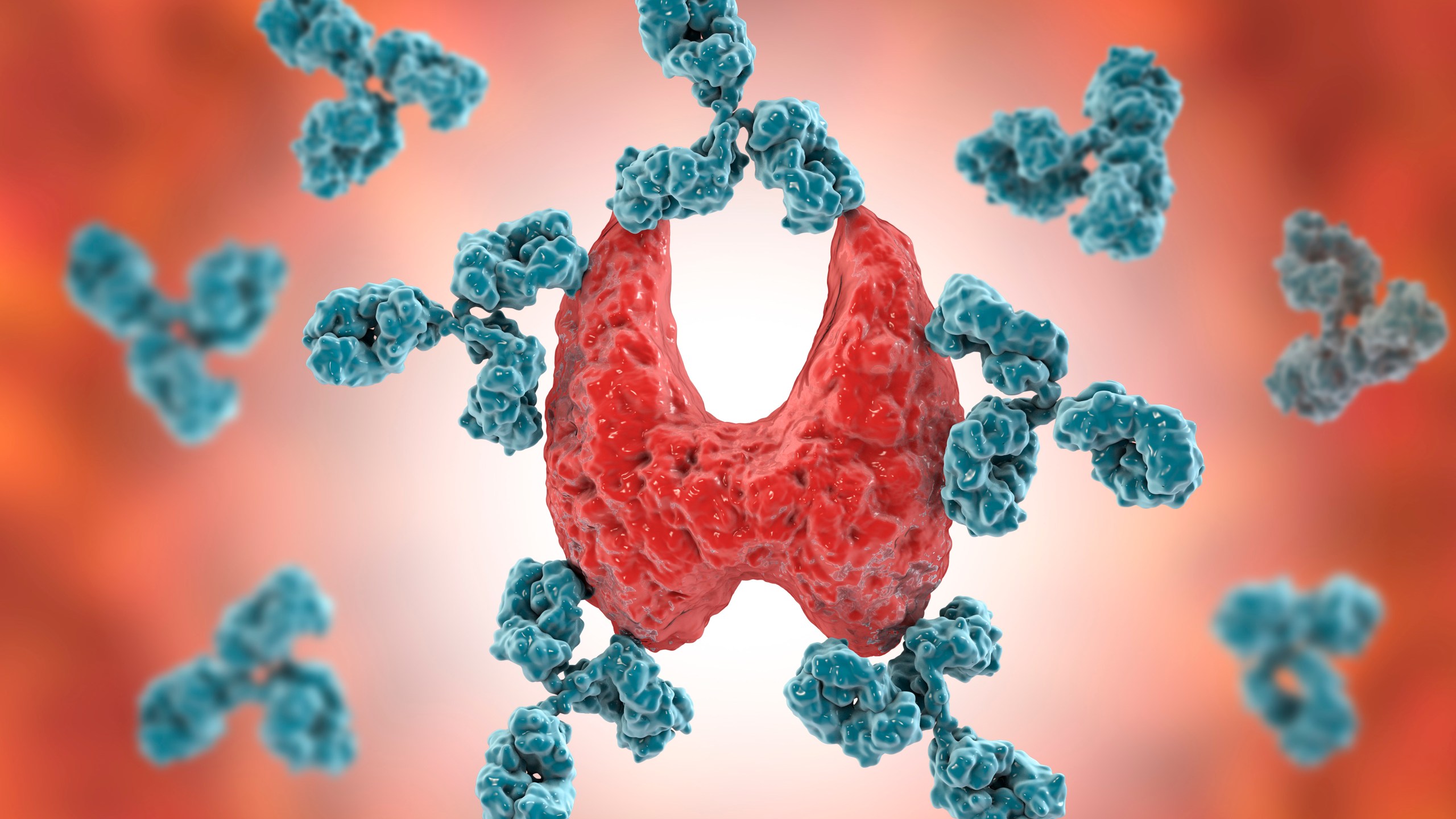 Weight gain, hair loss and feeling tired could be signs of this thyroid disease