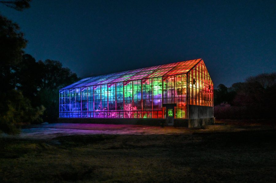 New Memphis Botanic Garden dedication lights leave visible legacy for longtime retiring director