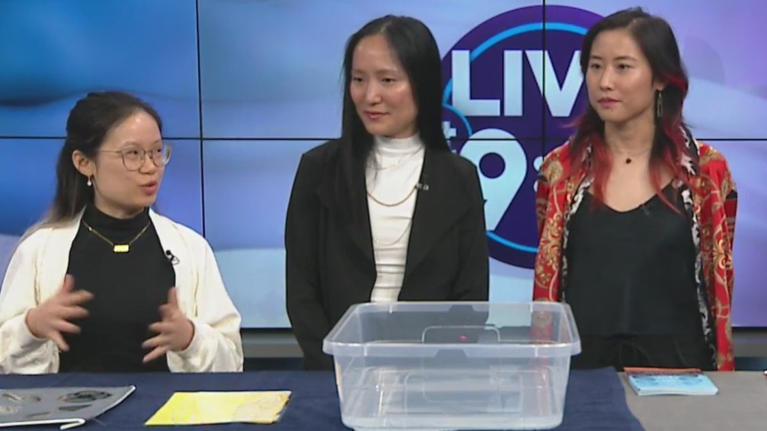 Artists featured in Memphis AAPI exhibit share an ancient art for on Live at 9