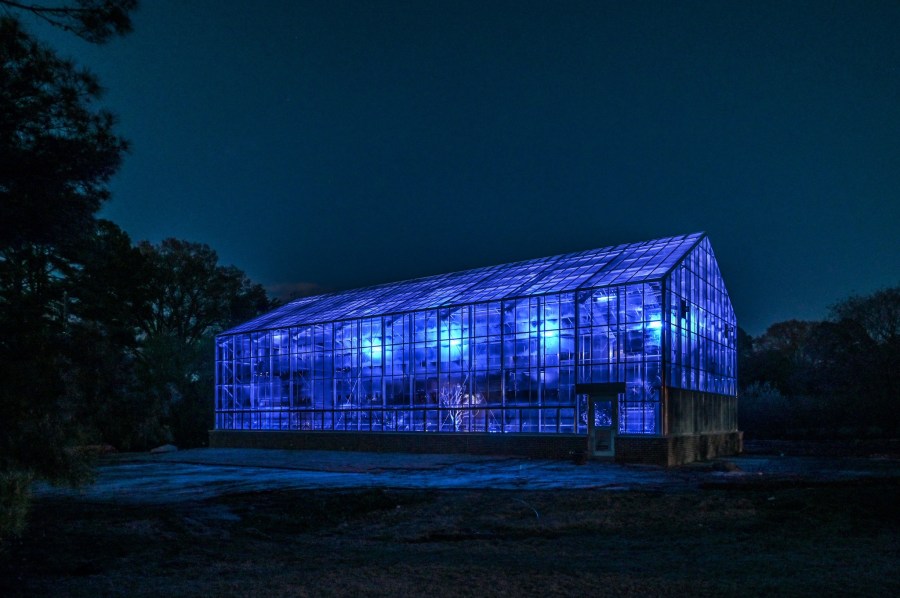 New Memphis Botanic Garden dedication lights leave visible legacy for longtime retiring director