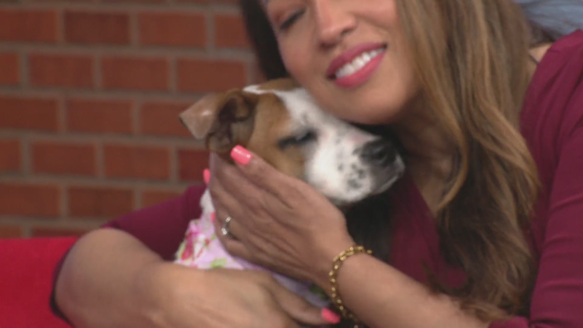 Meet Poppy, the lovable rescue pup and see her sister Violet's photo