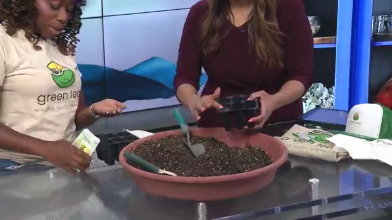 Green Leaf Learning Farm Demonstrates How Anyone Can Start a Home Garden