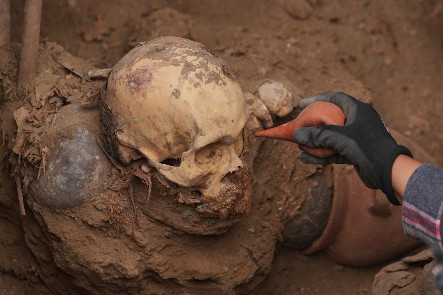 Archaeologist Jose Aliaga works at the site where city workers discovered ancient remains, from the pre-Inca Chancay culture, and artifacts as they were digging a natural gas line for the company Calidda in the district of Puente Piedra on the outskirts of Lima, Peru, Thursday, July 31, 2025. (AP Photo/Guadalupe Pardo)