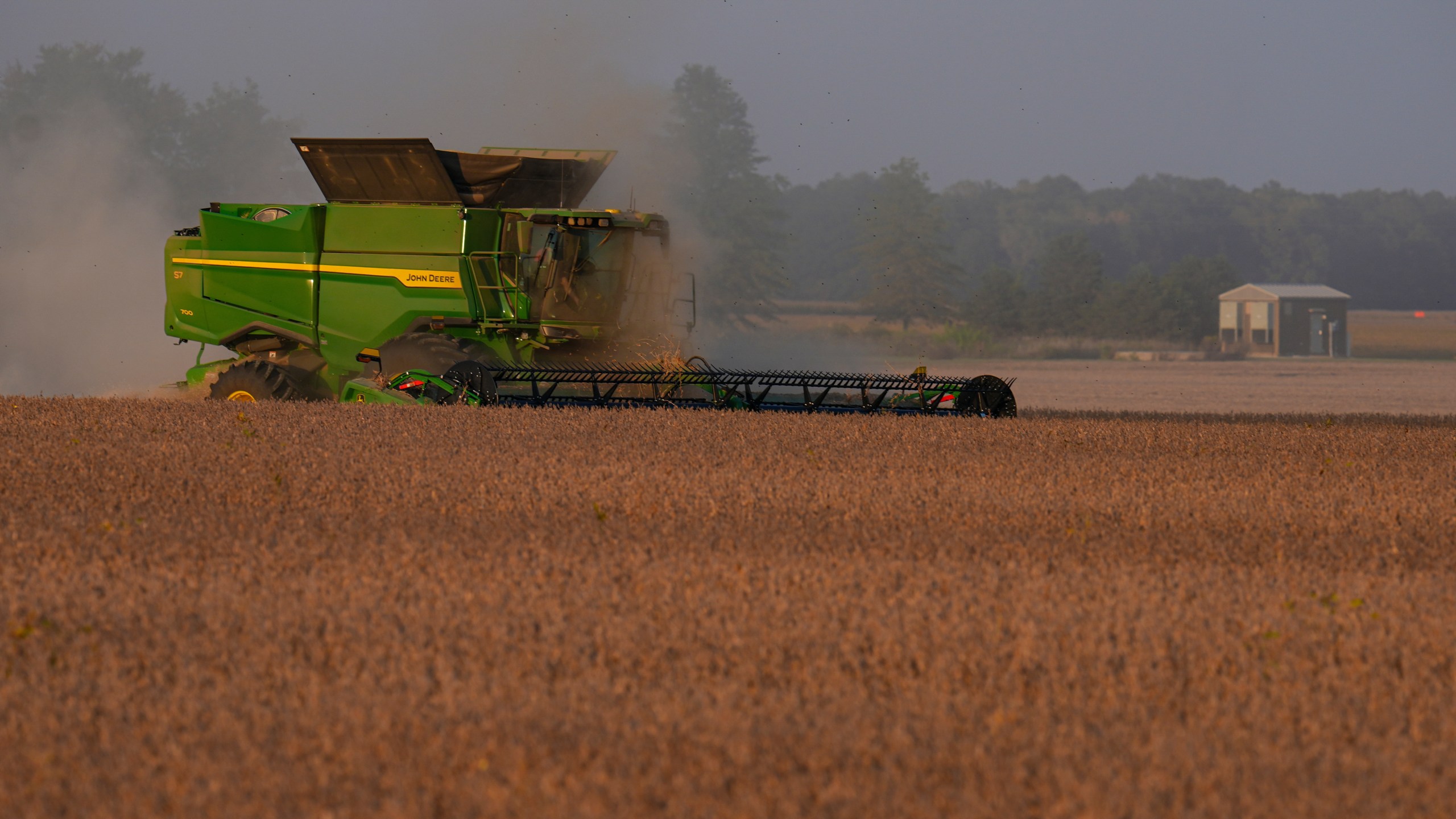 Soybeans are harvested on the Warpup Farm in Warren, Ind., Wednesday, Sept. 17, 2025. (AP Photo/Michael Conroy)