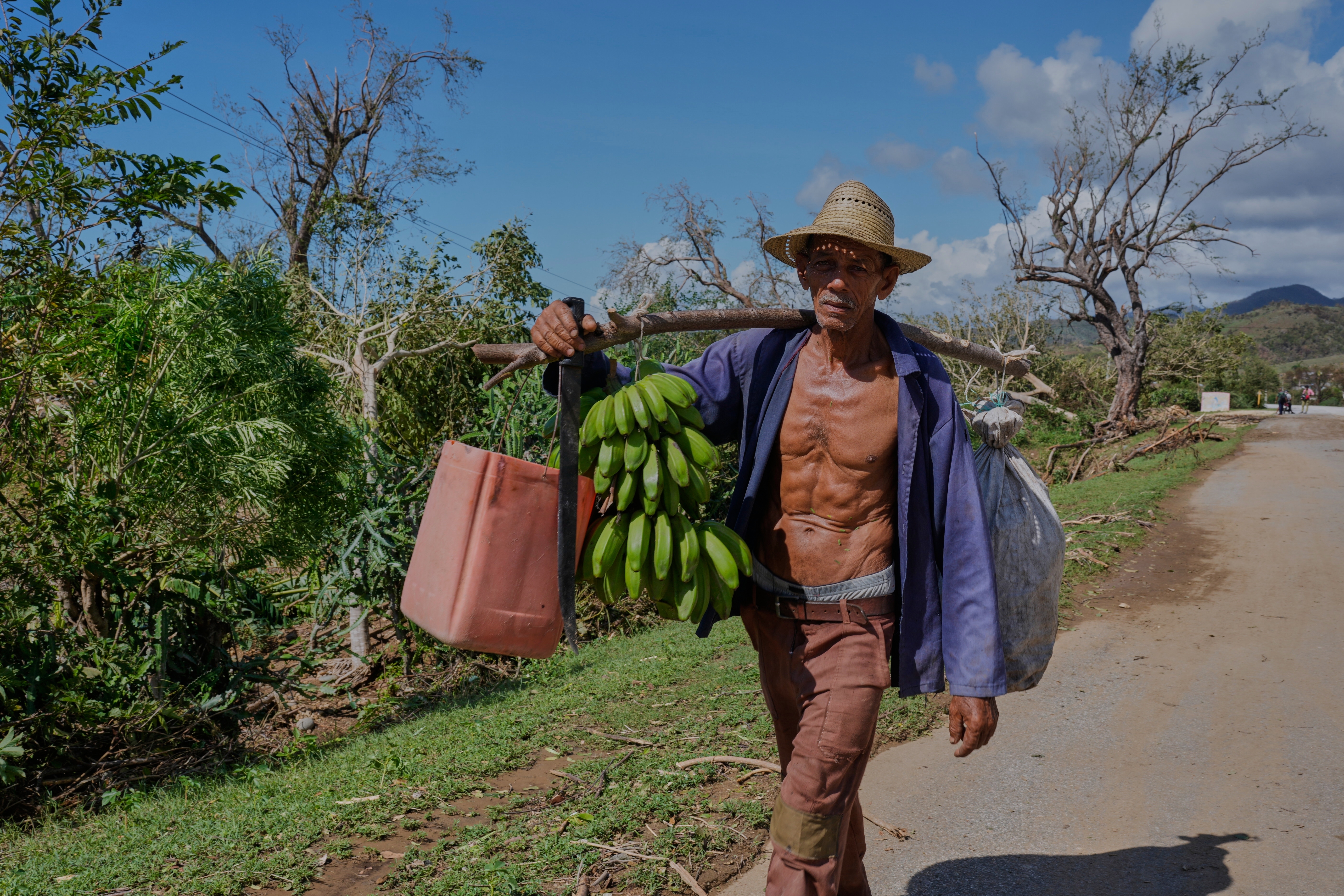 A worker transports bananas after Hurricane Melissa passed through the southern coast of Santiago de Cuba, Thursday, Oct. 30, 2025. (AP Photo/Ramón Espinosa)